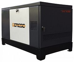 Газовый генератор Genese Pro 17000 T Neva в кожухе ДизельЭнергоРесурс